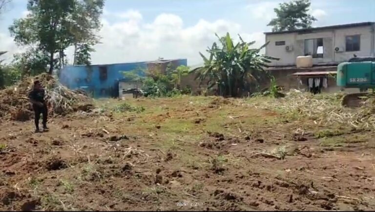 WhatsApp Image 2025-01-27 at 14.45.43